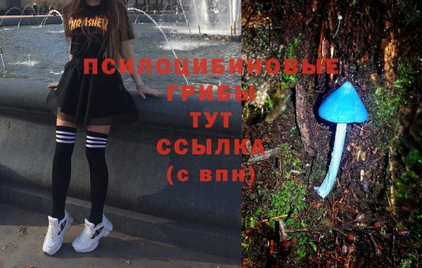 spice Алзамай