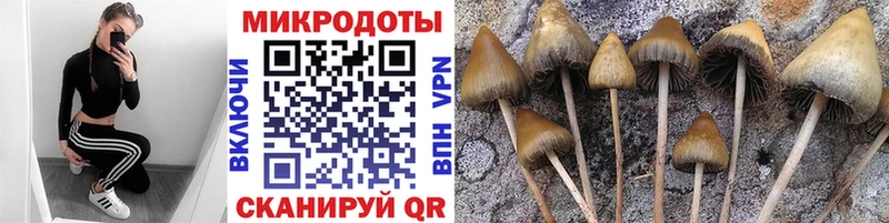 Псилоцибиновые грибы GOLDEN TEACHER  Купить закладки  Волгодонск 